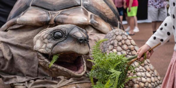Leaf-Eating-Robot-Tortoise