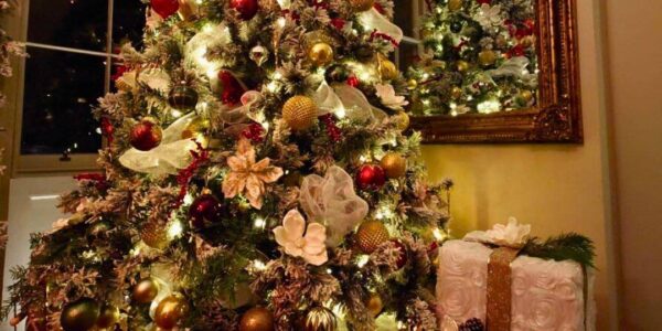 Luxury-Christmas-Grotto-Set