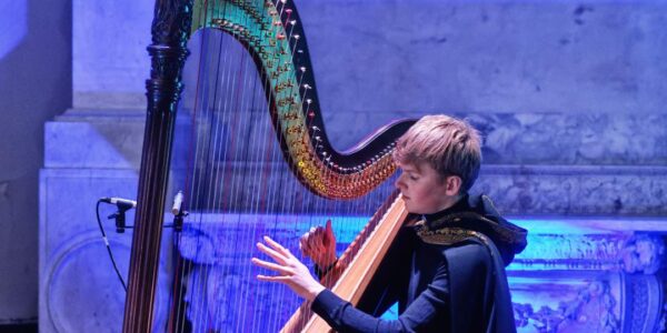 Sustainable-Themed-Circus-Harpist