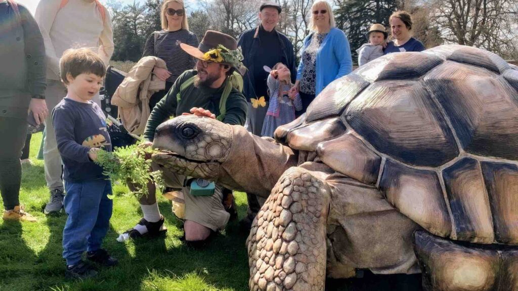 A life-sized robotic tortoise strolling about and interacting with its surroundings, mirroring realistic behavior.