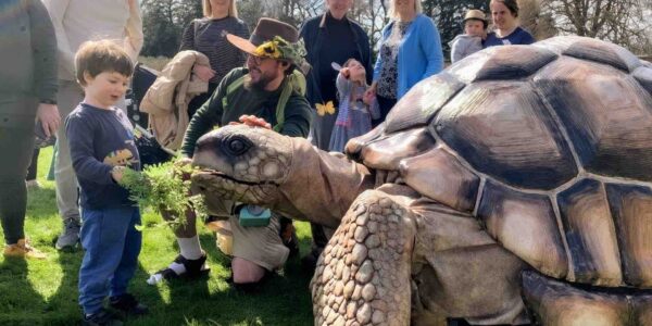 Tortoise-Walkabout-Puppet