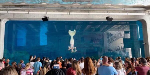 Underwater-Live-Mermaid