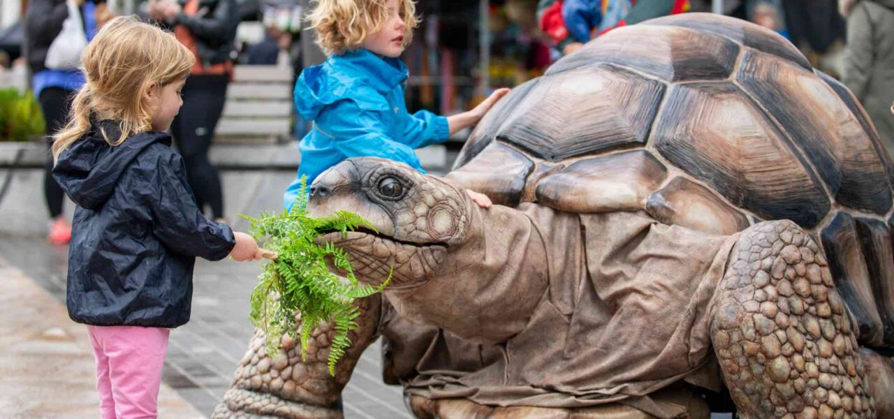 Walkabout-Life-Size-Tortoise-With-Being-Fed