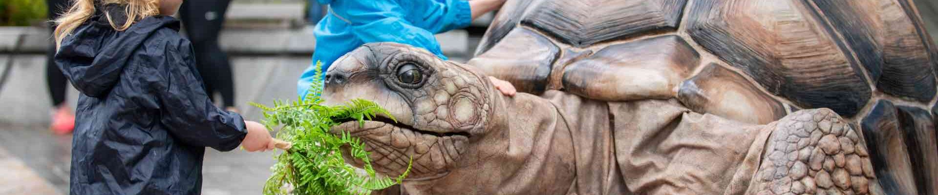 Walkabout-Life-Size-Tortoise-With-Being-Fed Walkabout-Life-Size-Tortoise-With-Being-Fed