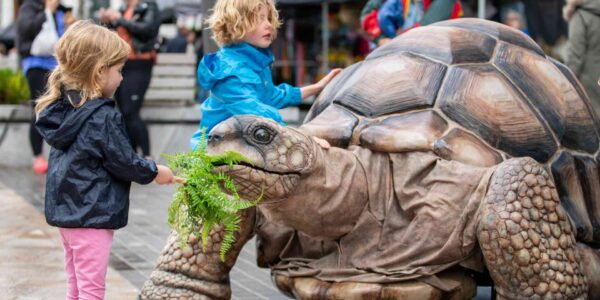 Walkabout-Life-Size-Tortoise-With-Being-Fed