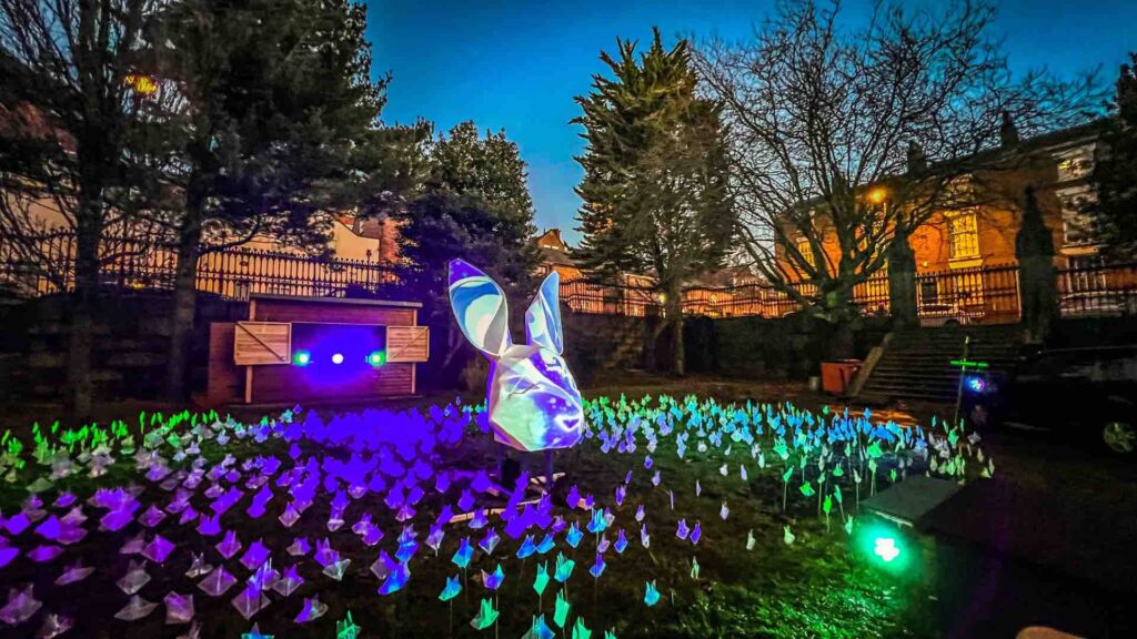 A bespoke installation featuring a rabbit and illuminated 3D projection.