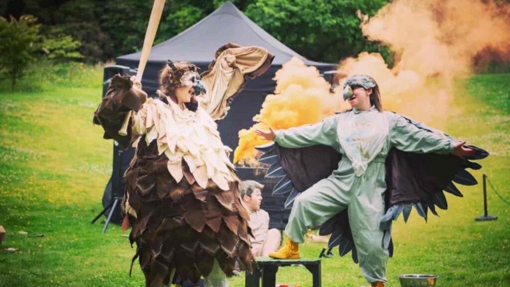 A bird themed comedy show featuring falcons turning on their handler.