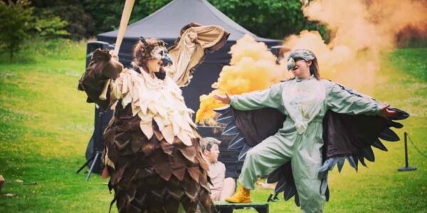 Witness mayhem as our birds of prey turn on their handler during this hilarious comedy show.