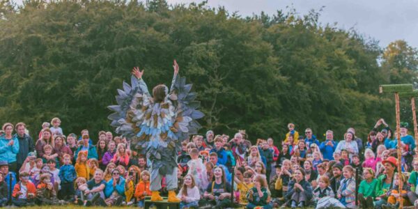 Hire our birds of prey themed show where audiences will witness a Falconry Display gone into dismay!