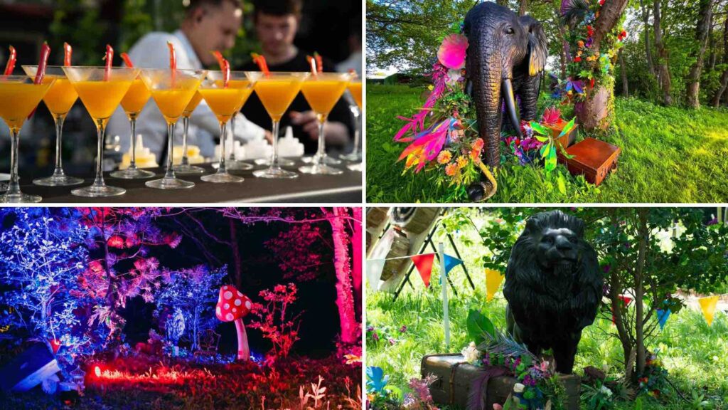 A culmination of creative event design props and drinks for an enchanted garden themed event