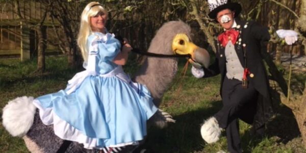 Book our themed walkabout bird to be a part of an Alice in Wonderland Event.