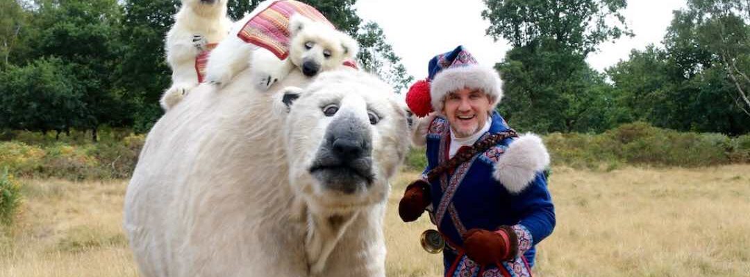 Hire a polar bear experience for your enchanting christmas occasions and events. Hire a polar bear experience for your enchanting christmas occasions and events.