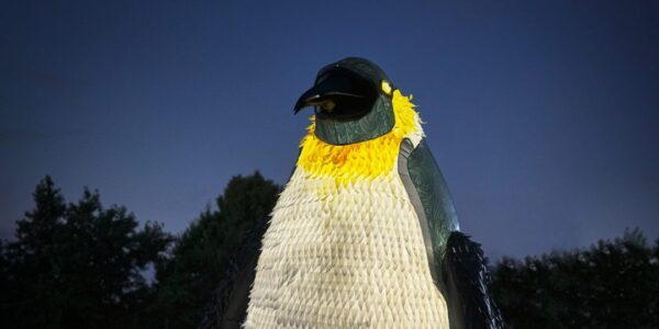 Large-Penguin-Puppet-For-Christmas-Events