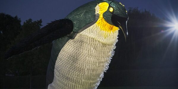 Penguin-Puppet-For-Festive-Events