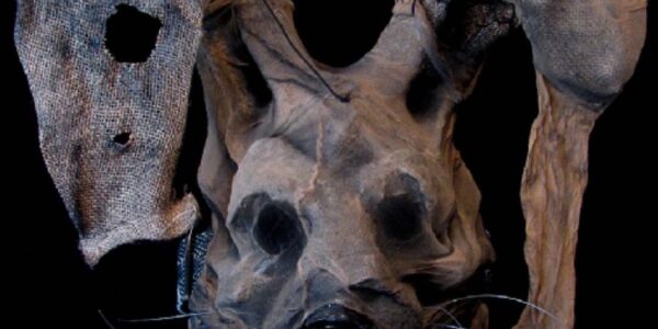 Rotten-Rabbit-Themed-Walkabout-Act