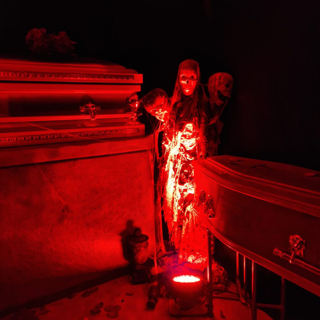 Illuminated skeleton sculpture used for Cult Horror Theme.