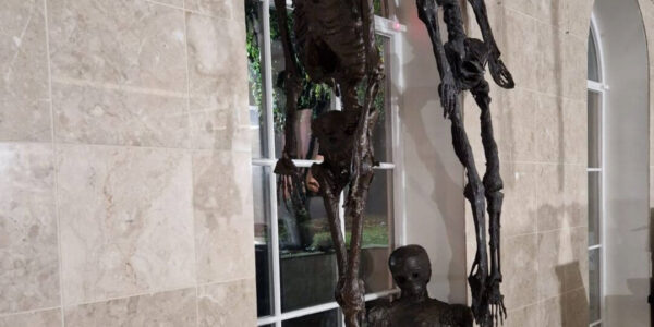 With our skills, we can create a unique crypt that perfectly complements your cult horror theme. Our collection of spectacular props and custom installations is designed to transform your event space.