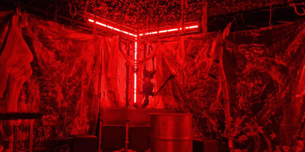 Cult-Horror-Themed-Event-27