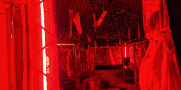 A cult horror themed party can introduce such elements as hanging hooks, coffins, vampires, death and the occult! We can add any type of ideas you also have into the mix!