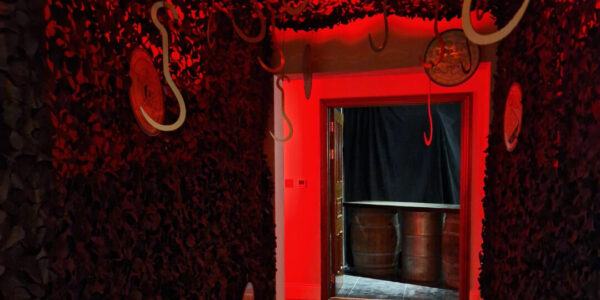 We create the perfect event landscape with theming designed to flow throughout for the ultimate guest experience.