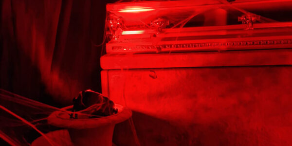 Open the door to our cult horror themed event, with bespoke prop services as well as unique design concepts.