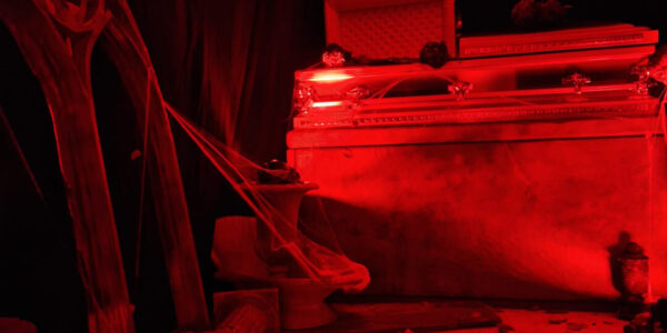 We bring every detail to life (or death in this case!) with meticulous decorations and props to fit your vision.