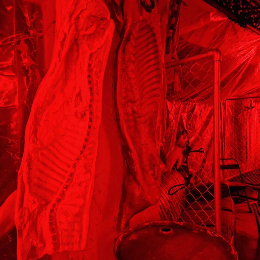 Bespoke hanging draping and blood red lighting used for a slaughterhouse concept.