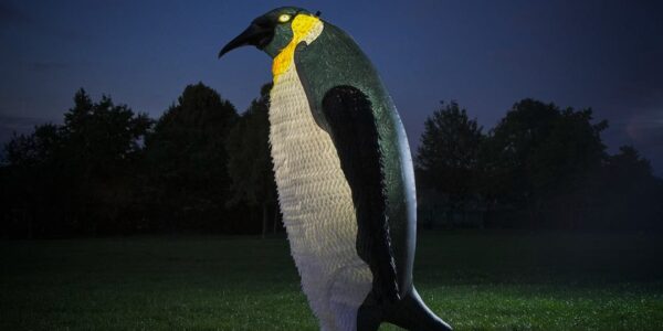 Giant-Walkabout-Penguin-For-Events