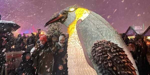 LED-Walkabout-Penguin-Family-Christmas-Market