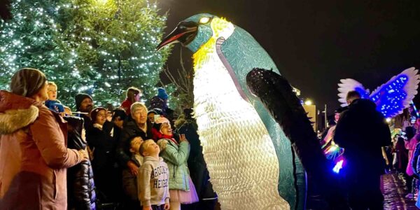 LED-Walkabout-Penguin-Light-Switch-On
