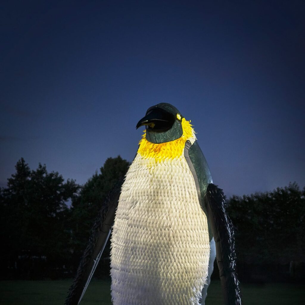 A giant LED walkabout penguin which lights up with animatronic beak.