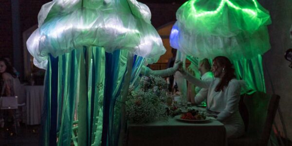 White-LED-Show-With-Jelly-Fish