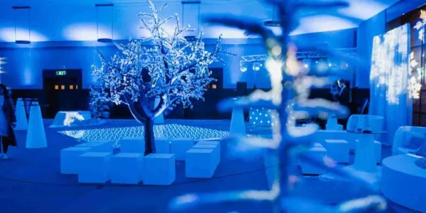 Winter-Wonderland-Event-Styling
