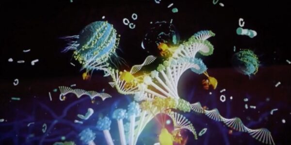 Projection-From-Project-Neom-Showing-DNA-And-Animals