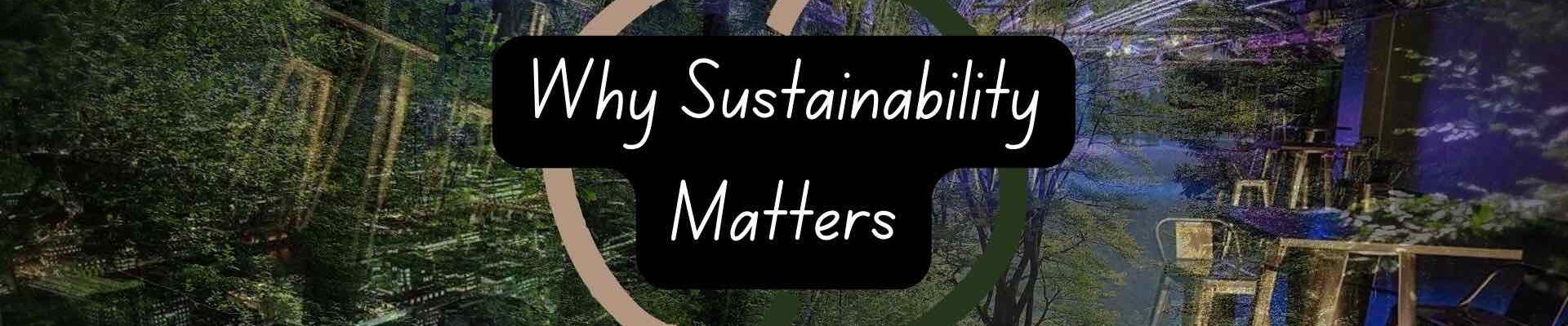 Why-Sustainability-Matters-In-The-Events-Industry - 1