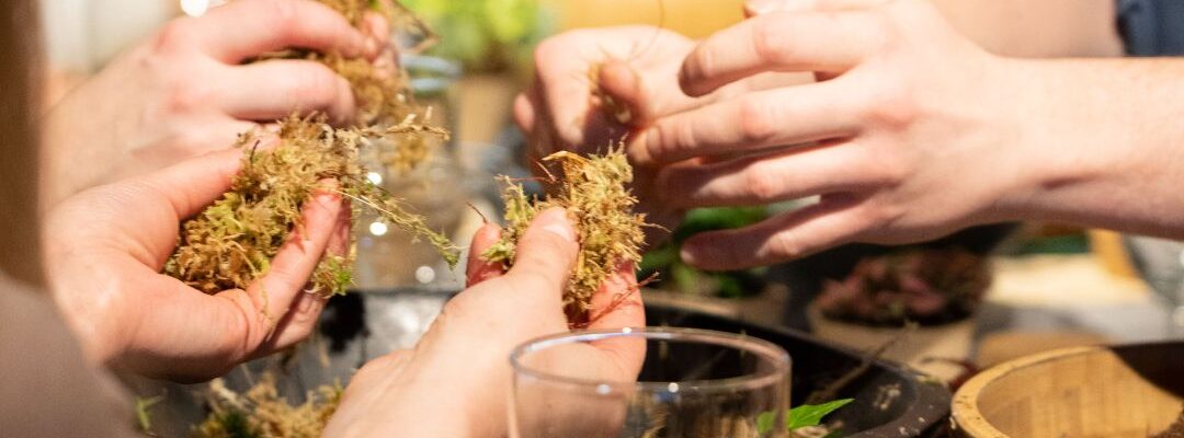 Hands-Making-A-Terrarium Hands-Making-A-Terrarium