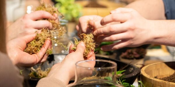 Hands-Making-A-Terrarium