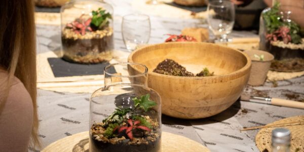 Plants-Made -In-A-Terranium-Class