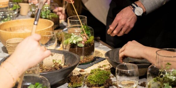 Terrarium-Making-In-Mobile-workshop