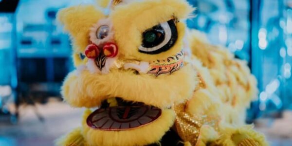 Yellow-Chinese-Walkabout-Lion-Dancer