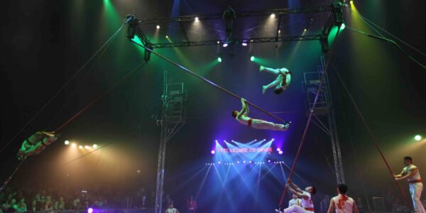 Chinese-Fly-Pole-Acrobats-Performing-Arials