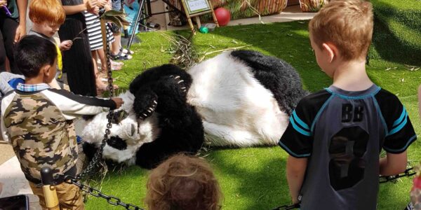 Interactive-Panda-Act-With-Crowd