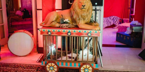 We transform your space with bespoke props such as our travelling circus and lions!