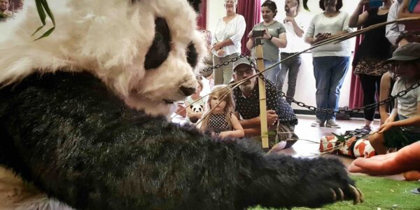 Realistic-Panda-To-Hire-Interacting-With-Crowd