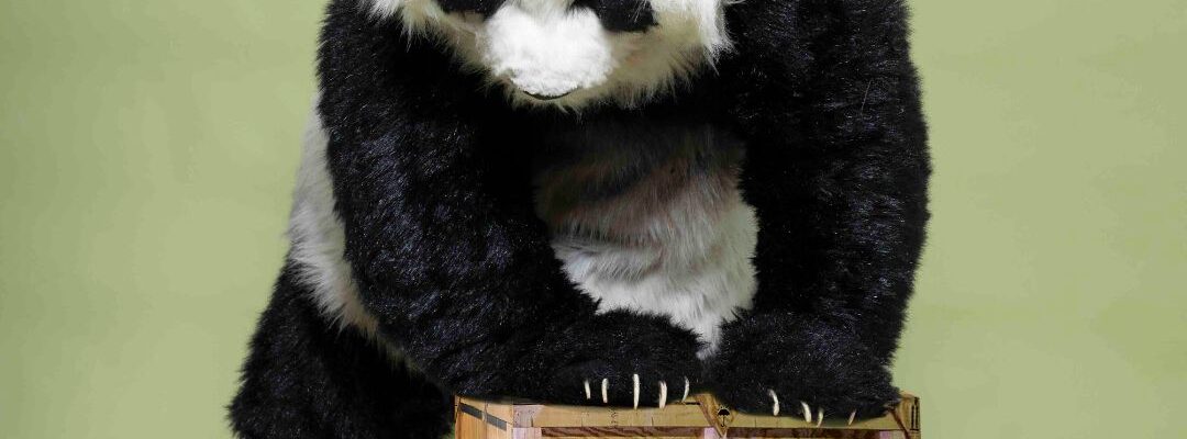 Realistic-Panda-To-Hire-On-Crate