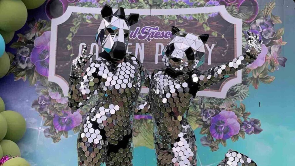 Mirror panda and zebra shimmering in outdoor light.
