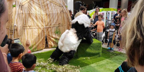 educational-panda-show-at-retail-event