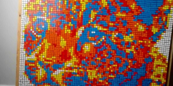 Rubik-Cube-Art-Of-Leopard-Closeup
