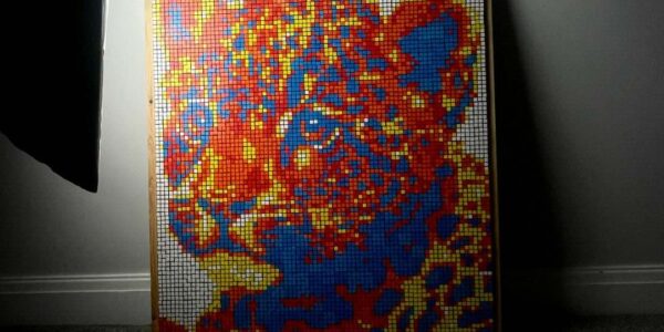 Rubik-Cube-Artwork-Of-A-Leopard