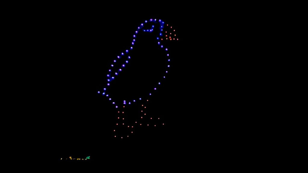 A bird drone show made custom for a bespoke drone event.
